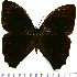  ( - JFDA1486)  @11 [ ] by-nc-sa (2025) Jean F. Le Crom Jean F. Le Crom