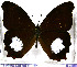  ( - JFDA1552)  @11 [ ] by-nc-sa (2025) Jean F. Le Crom Jean F. Le Crom