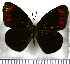  ( - JFDA1619)  @11 [ ] by-nc-sa (2025) Jean F. Le Crom Jean F. Le Crom