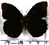  ( - JFDA1693)  @11 [ ] by-nc-sa (2025) Jean F. Le Crom Jean F. Le Crom