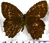  ( - JFDA1953)  @11 [ ] by-nc-sa (2025) Jean F. Le Crom Jean F. Le Crom