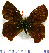  ( - JFDA1960)  @11 [ ] by-nc-sa (2025) Jean F. Le Crom Jean F. Le Crom