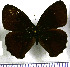  ( - JFDA1967)  @11 [ ] by-nc-sa (2025) Jean F. Le Crom Jean F. Le Crom
