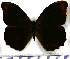  ( - JFDA2001)  @11 [ ] by-nc-sa (2025) Jean F. Le Crom Jean F. Le Crom
