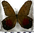  ( - JFDA2045)  @11 [ ] by-nc-sa (2025) Jean F. Le Crom Jean F. Le Crom