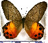  ( - JFDA2046)  @11 [ ] by-nc-sa (2025) Jean F. Le Crom Jean F. Le Crom