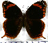  ( - JFDA2096)  @11 [ ] by-nc-sa (2025) Jean F. Le Crom Jean F. Le Crom