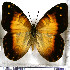  ( - JFDA2098)  @11 [ ] by-nc-sa (2025) Jean F. Le Crom Jean F. Le Crom
