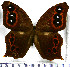  ( - JFDA2198)  @11 [ ] by-nc-sa (2025) Jean F. Le Crom Jean F. Le Crom