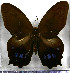  ( - JFDA2203)  @11 [ ] by-nc-sa (2025) Jean F. Le Crom Jean F. Le Crom
