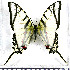 ( - JFDA2220)  @11 [ ] by-nc-sa (2025) Jean F. Le Crom Jean F. Le Crom