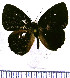  ( - JFDA2232)  @11 [ ] by-nc-sa (2025) Jean F. Le Crom Jean F. Le Crom