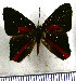  ( - JFDA2243)  @11 [ ] by-nc-sa (2025) Jean F. Le Crom Jean F. Le Crom
