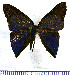  ( - JFDA2259)  @11 [ ] by-nc-sa (2025) Jean F. Le Crom Jean F. Le Crom