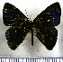  ( - JFDA2268)  @11 [ ] by-nc-sa (2025) Jean F. Le Crom Jean F. Le Crom