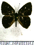  ( - JFDA2326)  @11 [ ] by-nc-sa (2025) Jean F. Le Crom Jean F. Le Crom