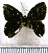  ( - JFDA2328)  @11 [ ] by-nc-sa (2025) Jean F. Le Crom Jean F. Le Crom