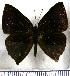  ( - JFDA2353)  @11 [ ] by-nc-sa (2025) Jean F. Le Crom Jean F. Le Crom