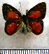  ( - JFDA2359)  @11 [ ] by-nc-sa (2025) Jean F. Le Crom Jean F. Le Crom