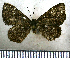  ( - JFDA2517)  @11 [ ] by-nc-sa (2025) Jean F. Le Crom Jean F. Le Crom