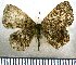  ( - JFDA2518)  @11 [ ] by-nc-sa (2025) Jean F. Le Crom Jean F. Le Crom