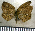  ( - JFDA2520)  @11 [ ] by-nc-sa (2025) Jean F. Le Crom Jean F. Le Crom