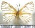  ( - JFDA2584)  @11 [ ] by-nc-sa (2025) Jean F. Le Crom Jean F. Le Crom