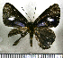  ( - JFDA2608)  @11 [ ] by-nc-sa (2025) Jean F. Le Crom Jean F. Le Crom