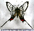  ( - JFDA2671)  @11 [ ] by-nc-sa (2025) Jean F. Le Crom Jean F. Le Crom