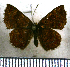  ( - JFDA2693)  @11 [ ] by-nc-sa (2025) Jean F. Le Crom Jean F. Le Crom