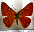  ( - JFDA2740)  @11 [ ] by-nc-sa (2025) Jean F. Le Crom Jean F. Le Crom