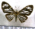  ( - JFDA2772)  @11 [ ] by-nc-sa (2025) Jean F. Le Crom Jean F. Le Crom