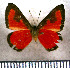  ( - JFDA2783)  @11 [ ] by-nc-sa (2025) Jean F. Le Crom Jean F. Le Crom
