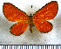  ( - JFDA2787)  @11 [ ] by-nc-sa (2025) Jean F. Le Crom Jean F. Le Crom