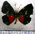  ( - JFDA2818)  @11 [ ] by-nc-sa (2025) Jean F. Le Crom Jean F. Le Crom