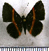  ( - JFDA2853)  @11 [ ] by-nc-sa (2025) Jean F. Le Crom Jean F. Le Crom