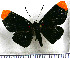  ( - JFDA2868)  @11 [ ] by-nc-sa (2025) Jean F. Le Crom Jean F. Le Crom