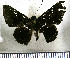  ( - JFDA2944)  @11 [ ] by-nc-sa (2025) Jean F. Le Crom Jean F. Le Crom