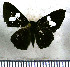  ( - JFDA2947)  @11 [ ] by-nc-sa (2025) Jean F. Le Crom Jean F. Le Crom