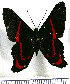 ( - JFDA2957)  @11 [ ] by-nc-sa (2025) Jean F. Le Crom Jean F. Le Crom