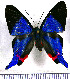  ( - JFDA2966)  @11 [ ] by-nc-sa (2025) Jean F. Le Crom Jean F. Le Crom