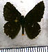  ( - JFDA2976)  @11 [ ] by-nc-sa (2025) Jean F. Le Crom Jean F. Le Crom