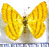  ( - JFDA2985)  @11 [ ] by-nc-sa (2025) Jean F. Le Crom Jean F. Le Crom