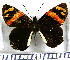  ( - JFDA3069)  @11 [ ] by-nc-sa (2025) Jean F. Le Crom Jean F. Le Crom