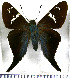  ( - JFDA3133)  @11 [ ] by-nc-sa (2025) Jean F. Le Crom Jean F. Le Crom