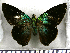  ( - JFDA3189)  @11 [ ] by-nc-sa (2025) Jean F. Le Crom Jean F. Le Crom