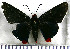  (Passova passova - JFDA3298)  @11 [ ] by-nc-sa (2025) Jean F. Le Crom Jean F. Le Crom