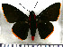  ( - JFDA3299)  @11 [ ] by-nc-sa (2025) Jean F. Le Crom Jean F. Le Crom