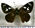  ( - JFDA3390)  @11 [ ] by-nc-sa (2025) Jean F. Le Crom Jean F. Le Crom