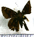  ( - JFDA3429)  @11 [ ] by-nc-sa (2025) Jean F. Le Crom Jean F. Le Crom